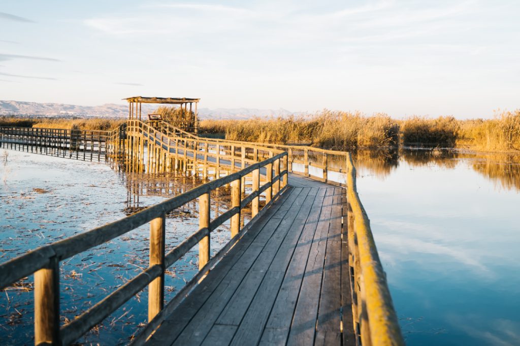 Imagen destacada pasarela para la entrada Un lugar para vivir la naturaleza y los espacios verdes de your home in Costa Blanca